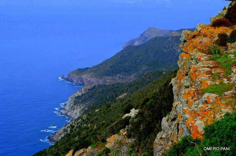 Casa "Sa Ferula" Villa Porto Torres Kültér fotó